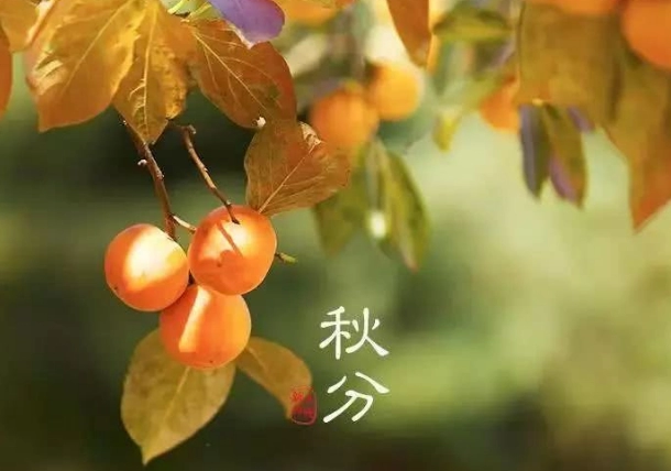 1717380279984353.png image.png