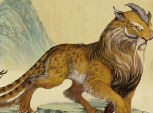 1725328843252580.png image.png