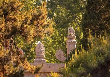 1660271351330994.png image.png