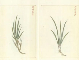 1660269388164554.png image.png