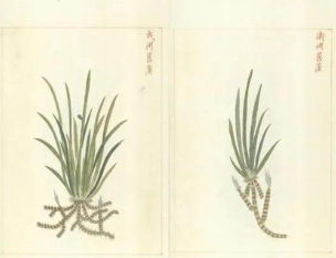 1660269385382269.png image.png