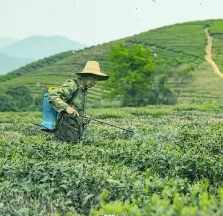 1658734737944607.png image.png