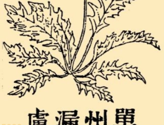 1659427780410779.png image.png