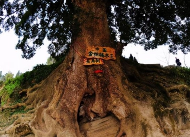 1623037784838860.png image.png