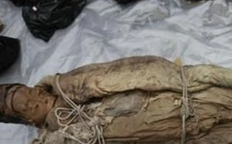 1620453427296065.png image.png