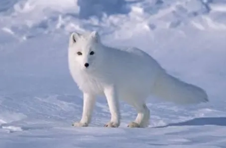 1605517364463446.png image.png