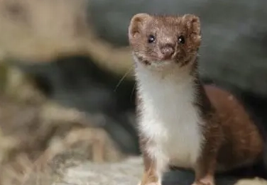 1642672547131015.png 图片.png