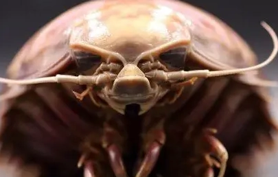 1644393256372732.png 图片.png