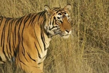 1597197977635276.png image.png