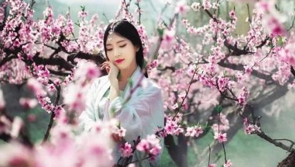 1632465795226044.png image.png