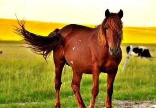 1586398623768913.png image.png