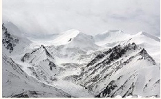 1639471076410719.png 图片.png