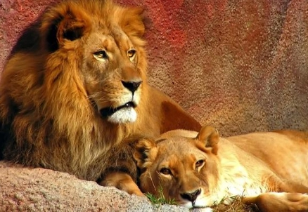 1634624517100247.png image.png