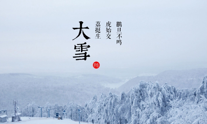 1638781896870181.png image.png