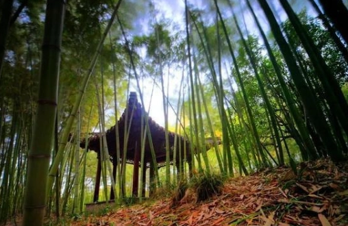 1584068324257448.png image.png