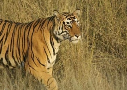 1580957605656871.png image.png