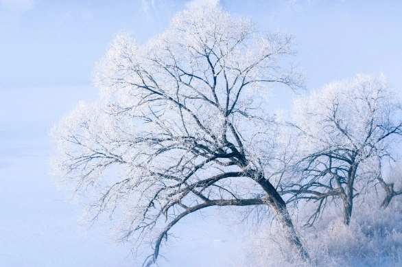 1638781970106118.png image.png