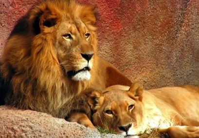 1633664872292297.png image.png