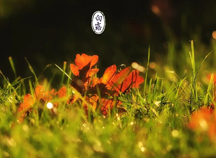 1631000570829661.png image.png