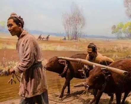 1725413746563783.png image.png