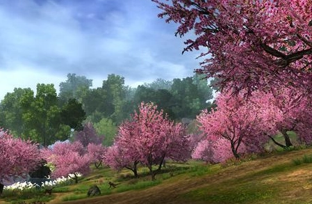 1578992259387441.png image.png