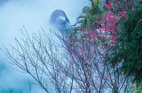 1578992255197212.png image.png