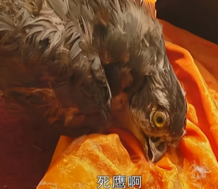 1723686761503843.png image.png