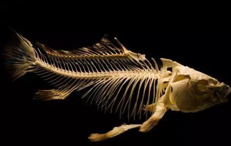 1618812200250104.png image.png