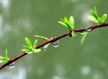 1613614227677206.png image.png