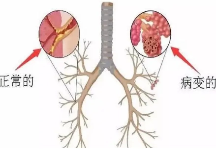 1723773027109727.png image.png