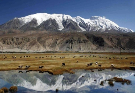 1617847914499529.png image.png