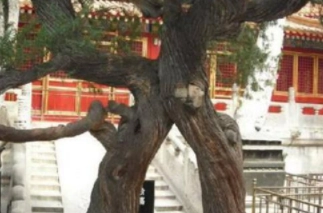 1578919309914831.png image.png