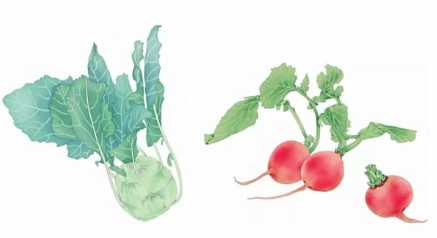 1618799767776182.png image.png