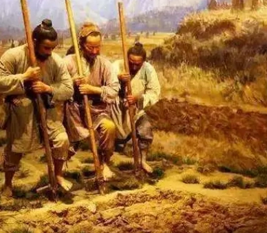 1724291034764037.png image.png