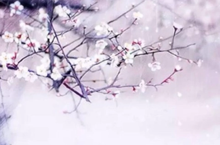 1580963825716142.png image.png