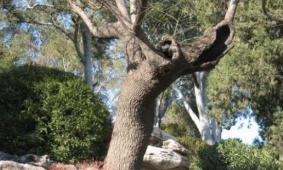 1578626192564094.png image.png