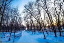 1613614232870030.png image.png