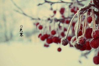 1579770202364608.png image.png