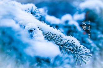 1579770175747018.png image.png