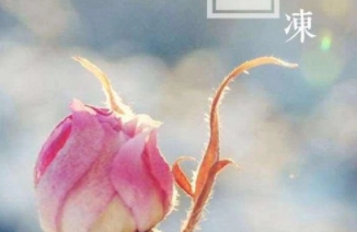 1579770196735561.png image.png