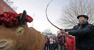 1579931163898317.png image.png