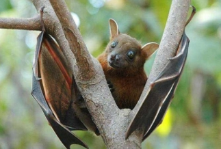 1580708058650691.png image.png