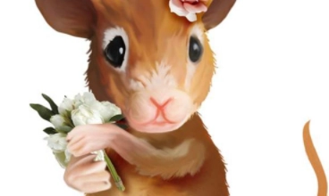 1580445605818444.png image.png