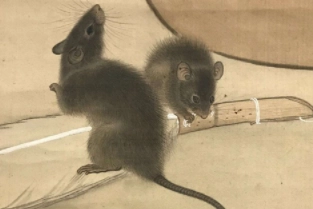 1580044266184169.png image.png