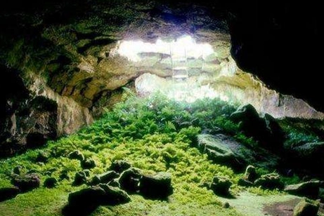 1577785054248637.png image.png