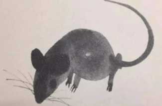 1580451282896929.png image.png