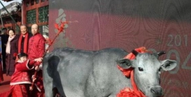 1579931150519957.png image.png