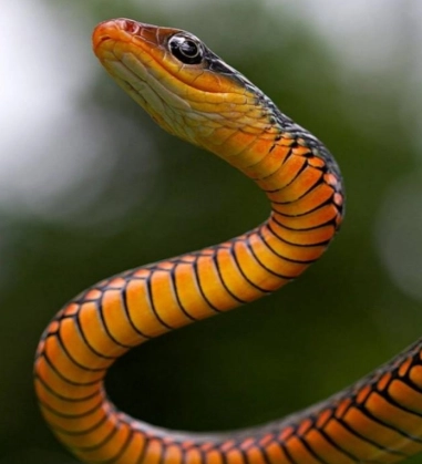 1597648540210358.png image.png