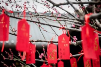 1579767318487303.png image.png