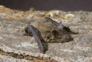 1580708040423016.png image.png